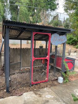 Large Outdoor Chicken Coop with hen house.