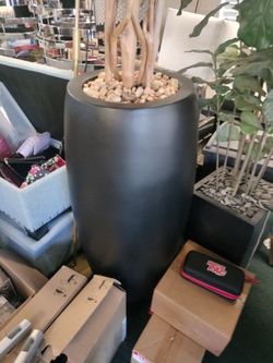 Plants  read  the post