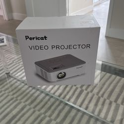 Video Projector