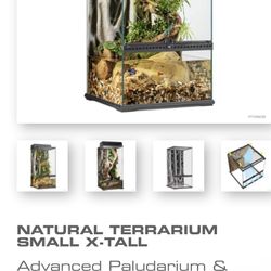 Terrarium