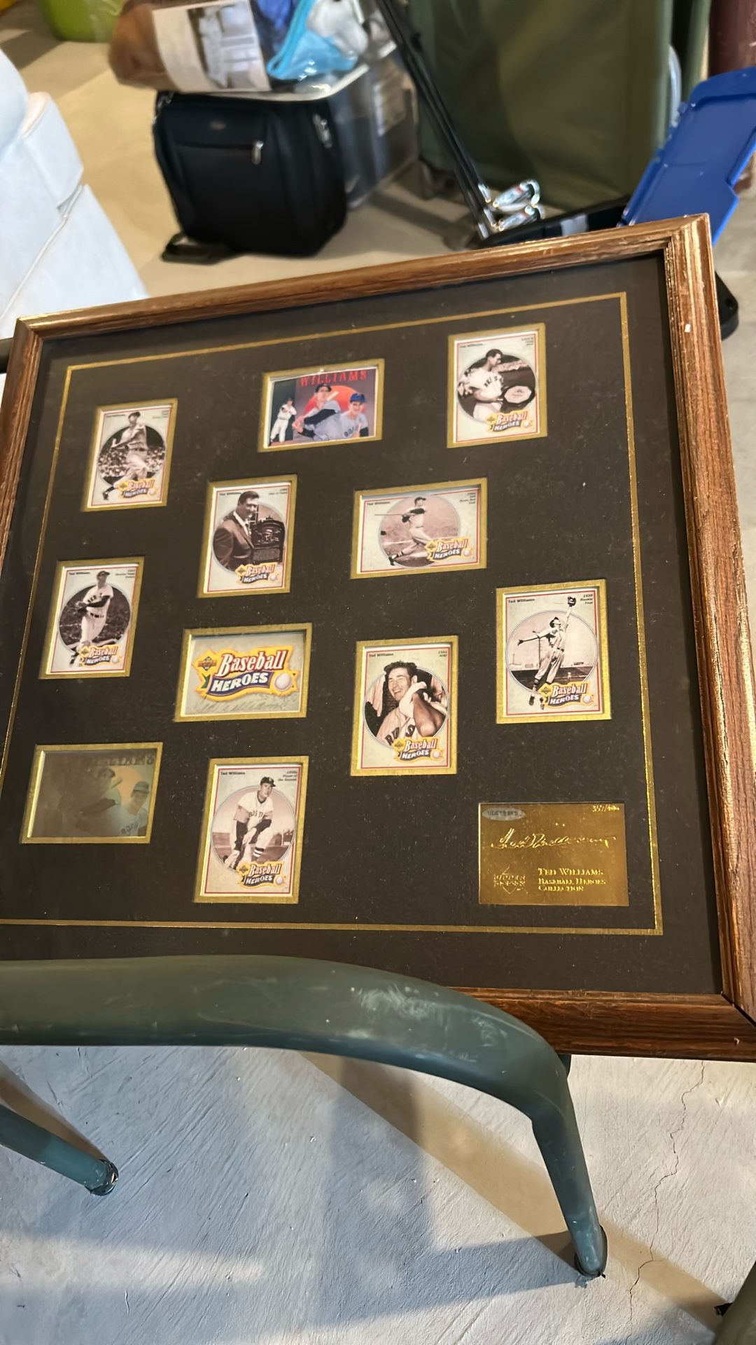 Ted Williams Baseball Hero’s