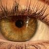 Look