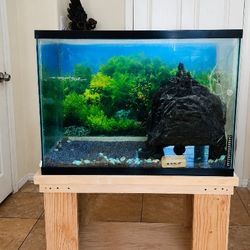 30 Gallon Glass Aquarium with Custom Wood Stand