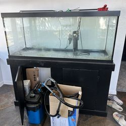 75 gallon fish tank with filter and lights