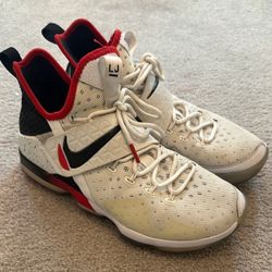 Nike Lebron James shoes, used no box 10.5