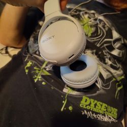 Sony Headphones 