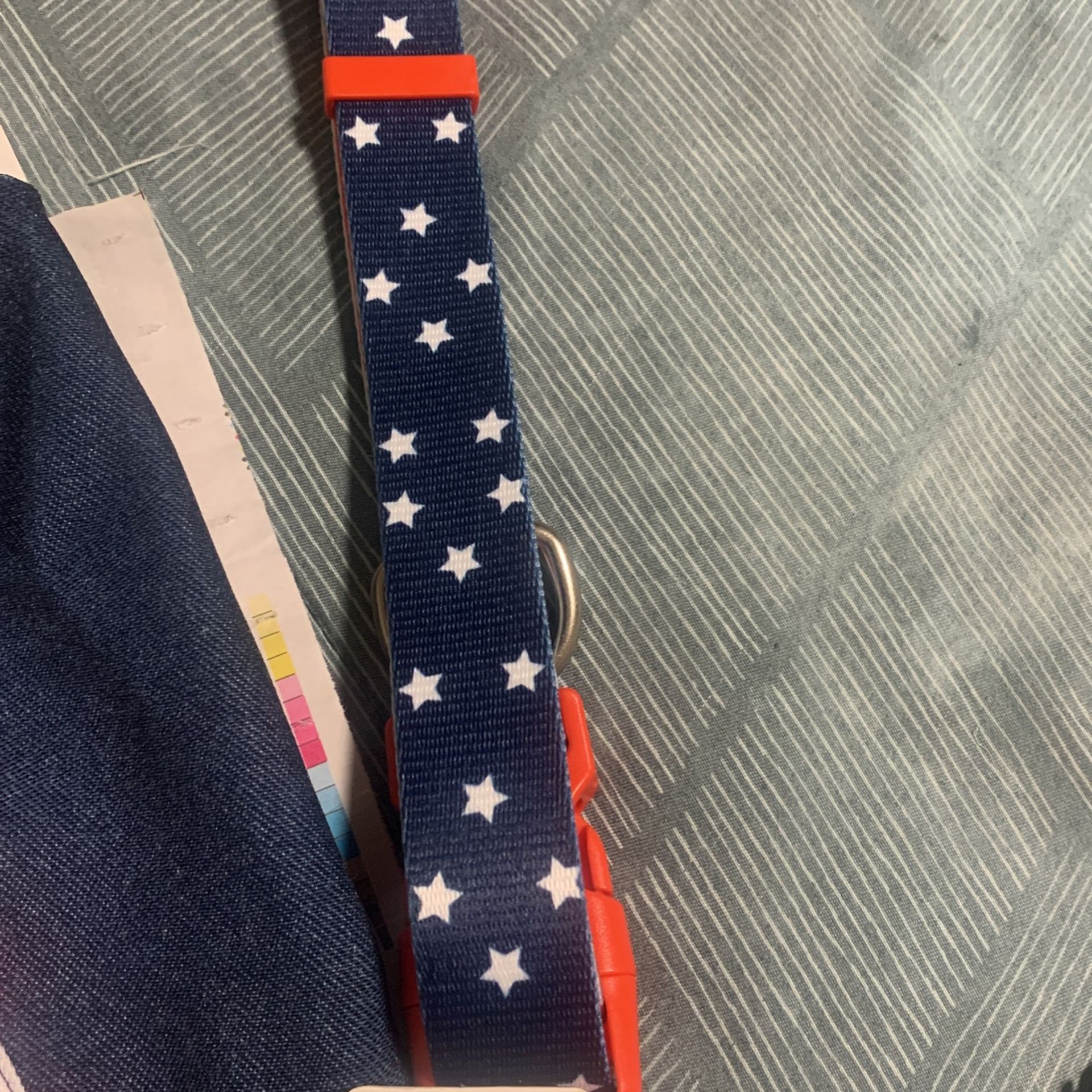 Dog Collar