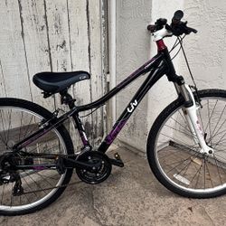 24” Bicycle