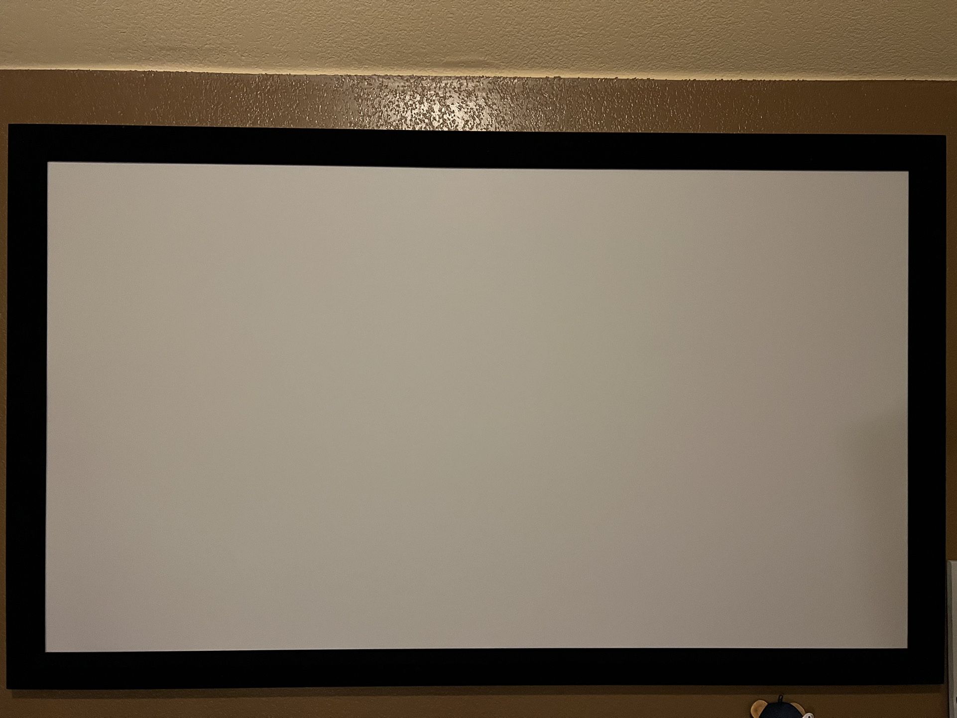 Projector Fitted Screen 