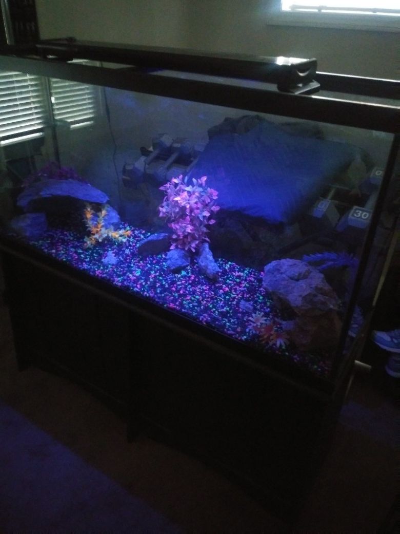 75gl tall fish tank