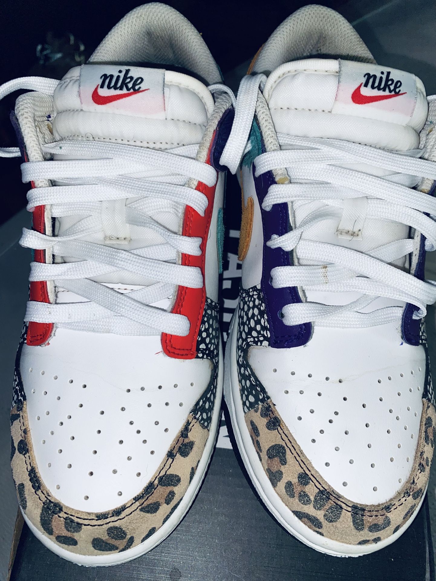 Nike Lowtop Dunks