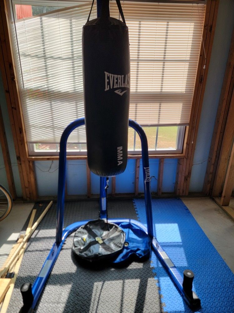 Kicking/Punching Bag