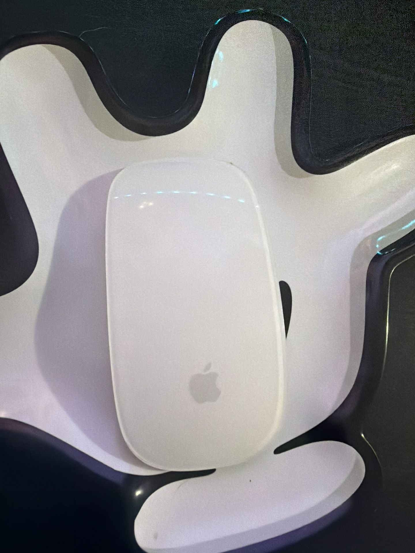 Apple Magic Mouse With Case