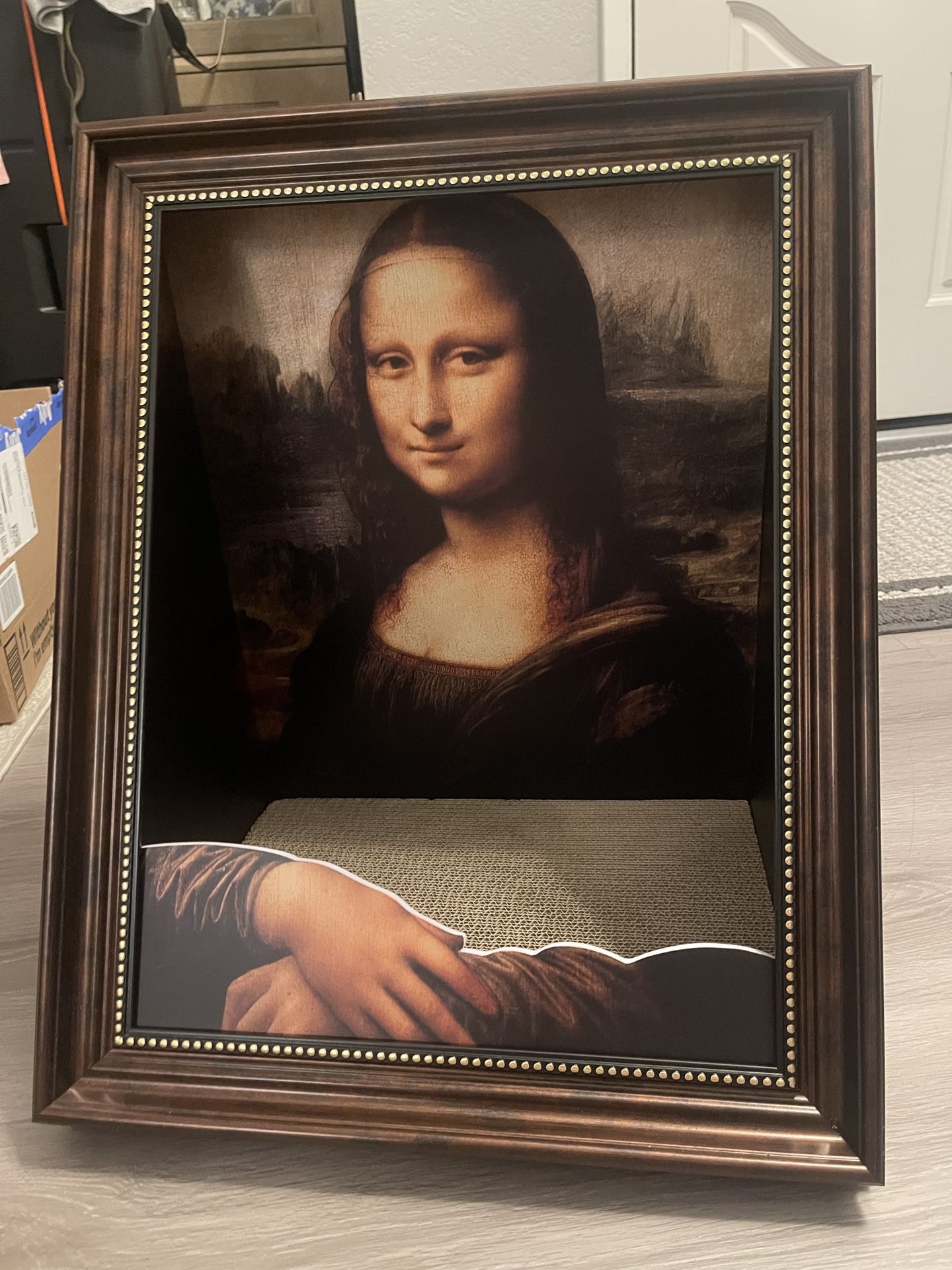 Monalisa Cat Scratch Board 