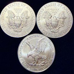 I Have 3 total. 1 is 2025 bu70 Two 2013 1oz Silver Dollars Both 2013