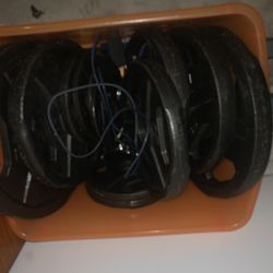 Weight Set Plates With Olympic Bar And Curl Bar! Two Dumbbells And Bench