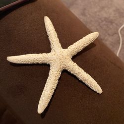 Coral Starfish