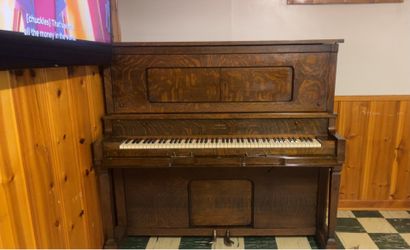 Aeolian player Plano