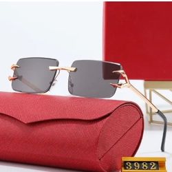 Cartier Sun Glasses W/T