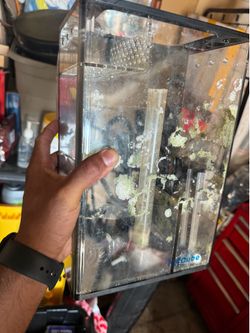 Fiji cube HOB refugium