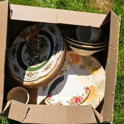 Free Cracked & Broken China for Arts & Crafts