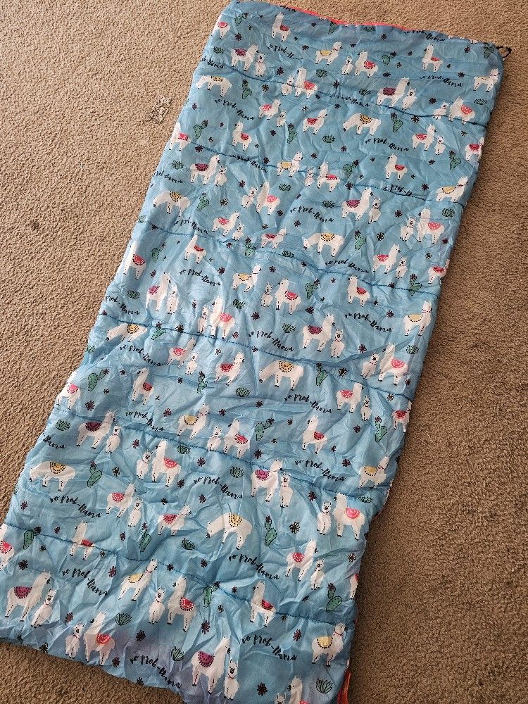 Kids Sleeping Bag
