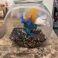 Small Fish Tank