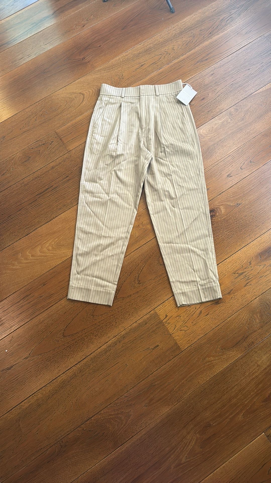 Everlane The Way High Taper Pant Cornstalk Pleated