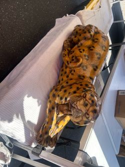 jaguar de seramica