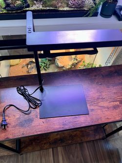 Plant light