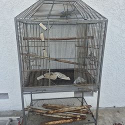 Bird Cage
