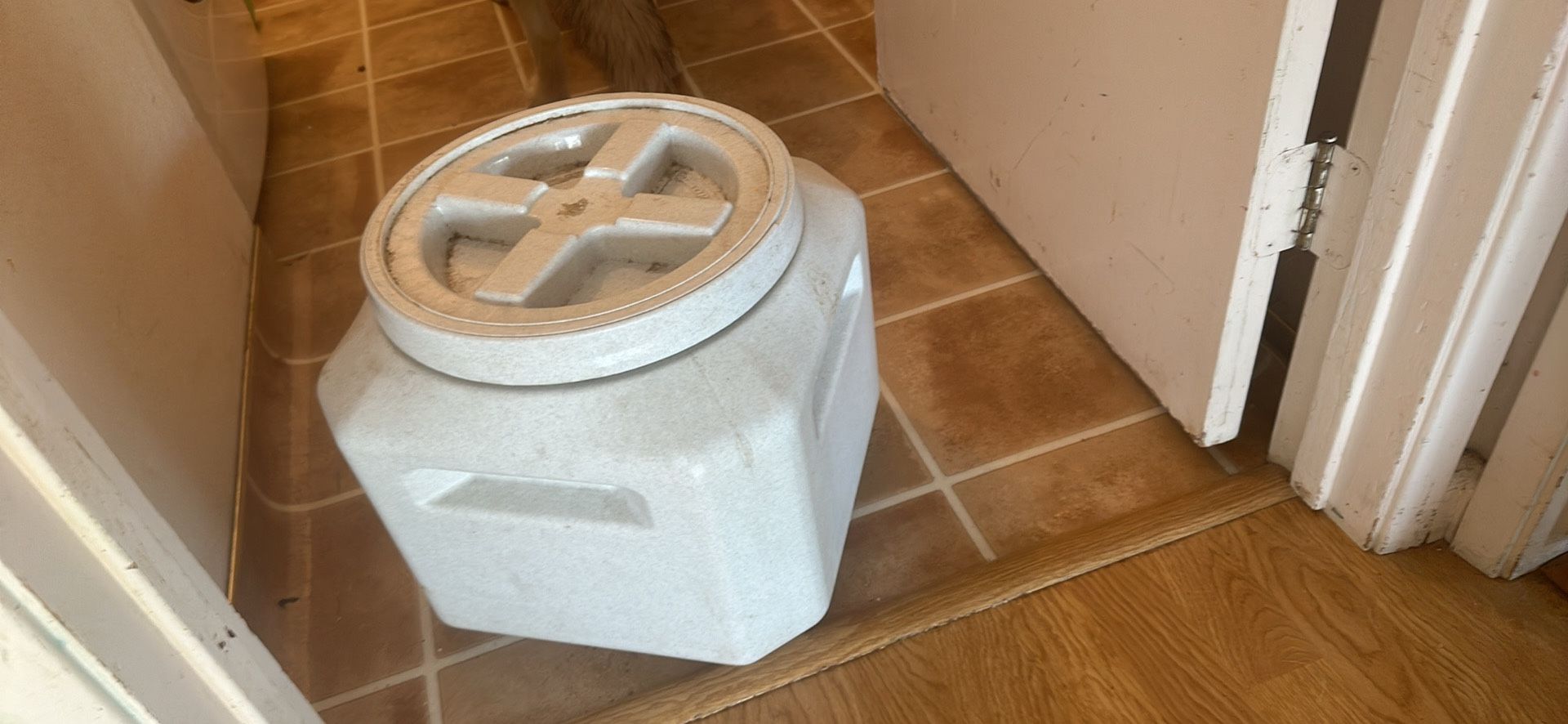 Dog Food Container