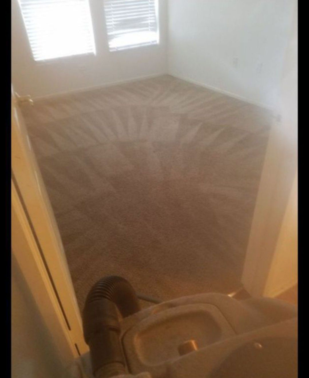 carpets