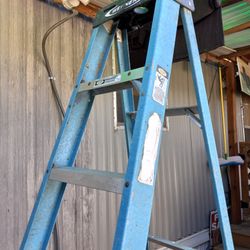 6ft Ladder