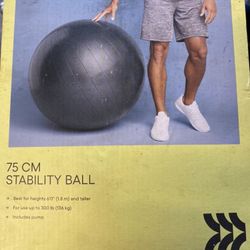 Stability Ball $$$reduced