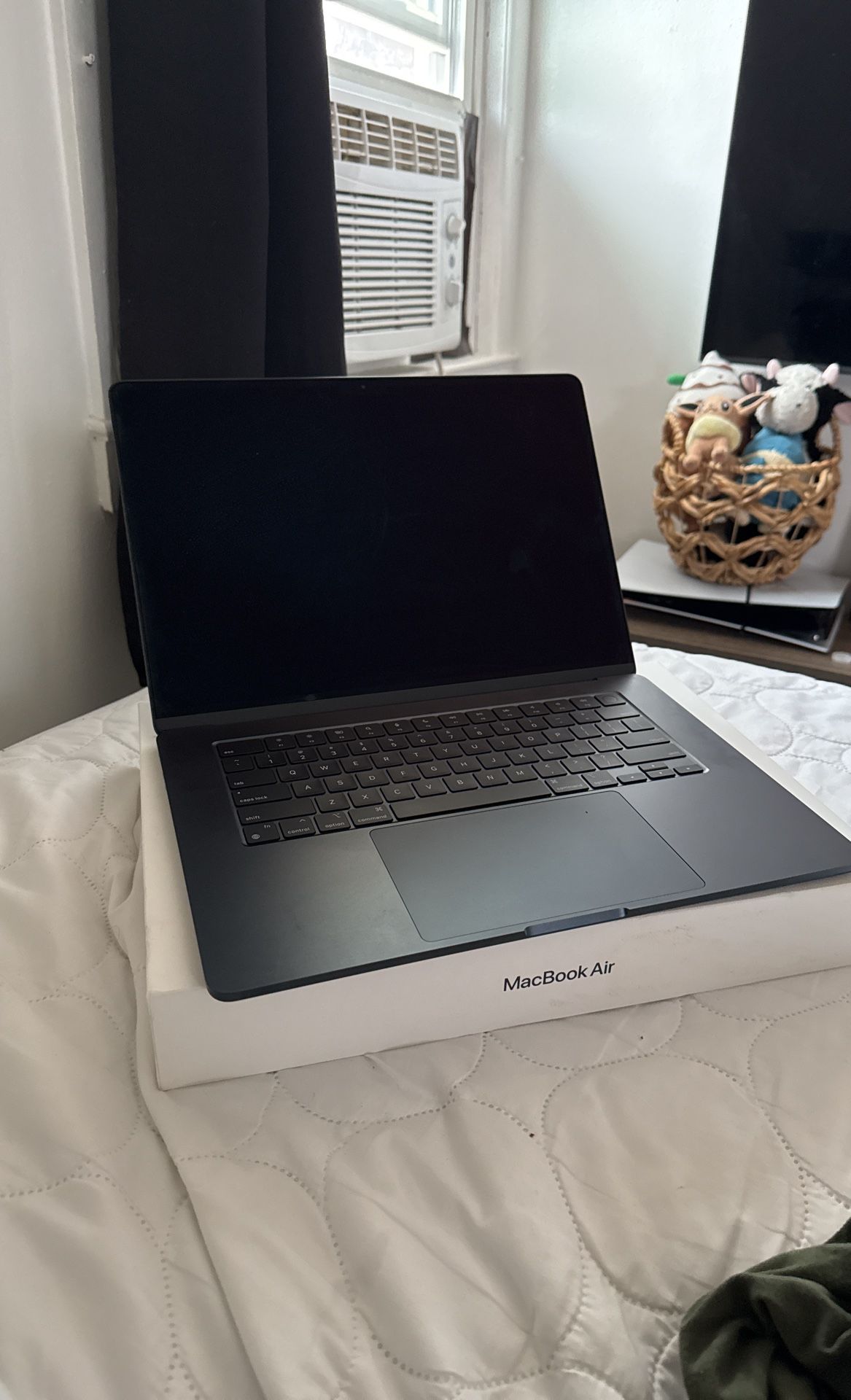Apple - 15 inch Macbook Air M3 (latest model)