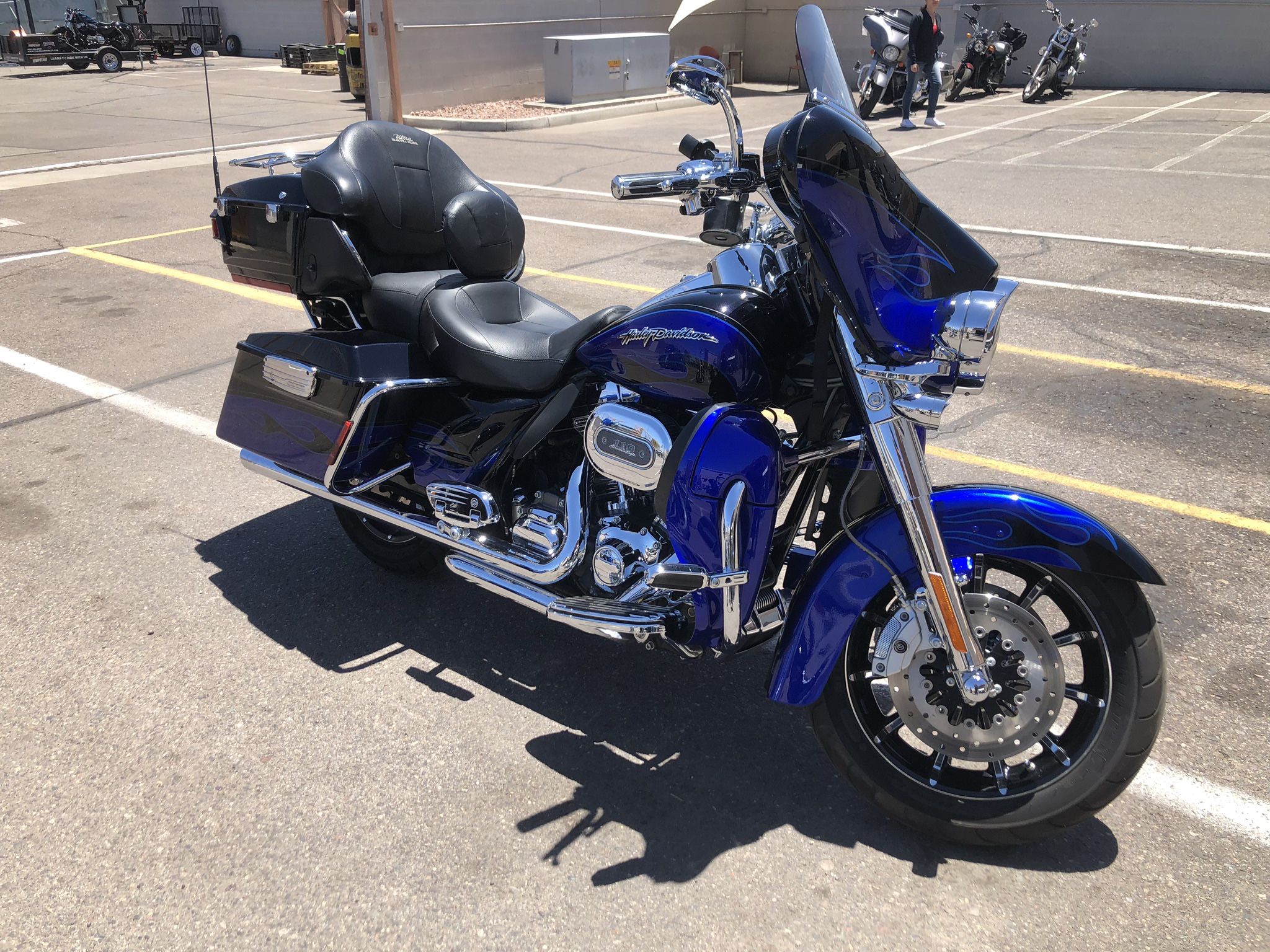 hd cvo for sale