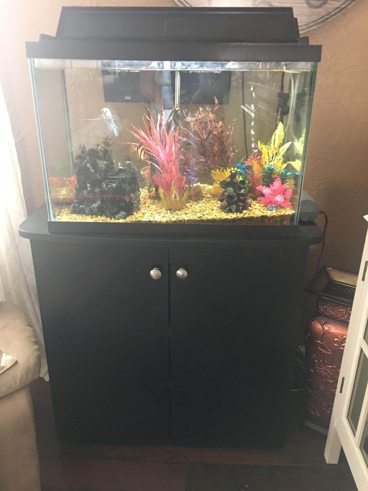 30 Gallon Fish Tank + Stand + Some Fish Supplies