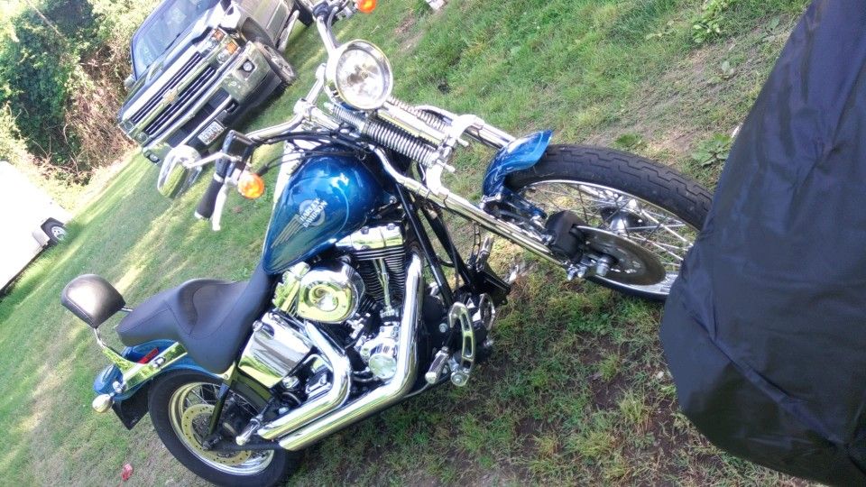 Harley Davidson Springer
