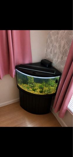 Large Corner Aquarium