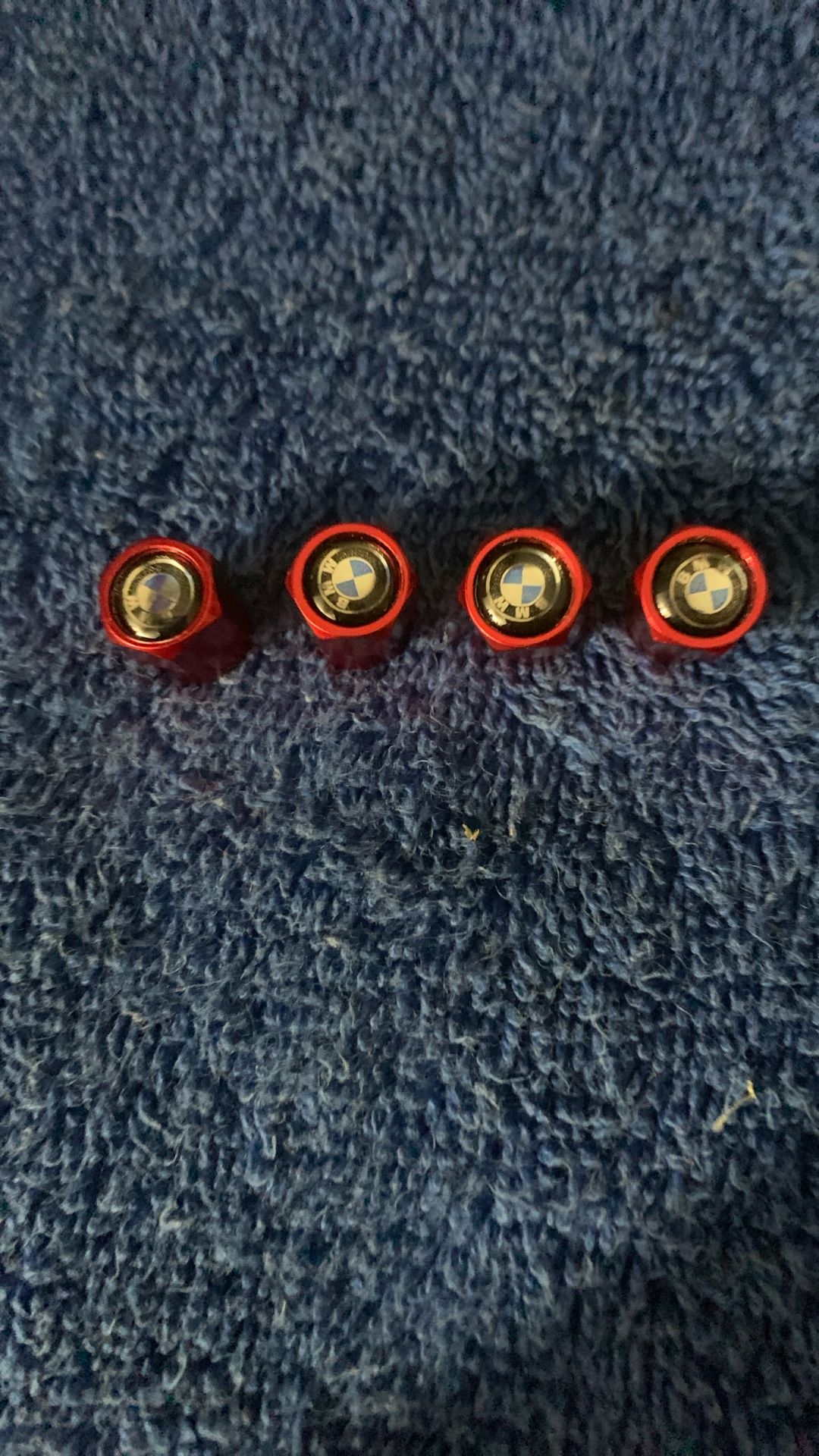 BMW Tire Caps