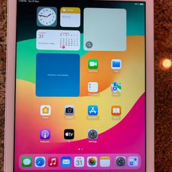 Apple IPad  (Brand New In The Box)