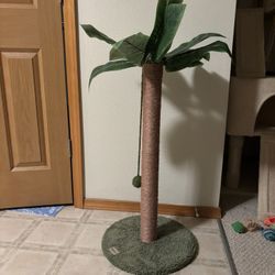 Cat Scratching Post