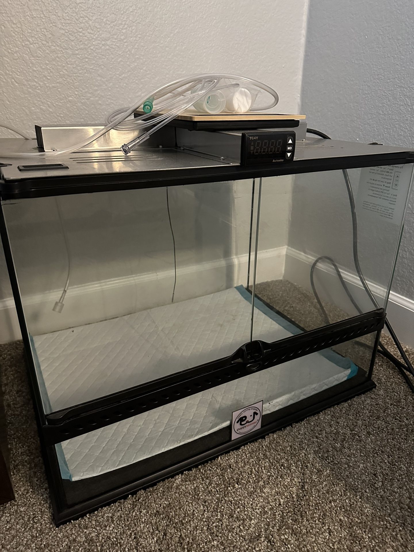 Puppy Warmer Incubator And Oxygen Supply