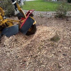 Stump Grinding 