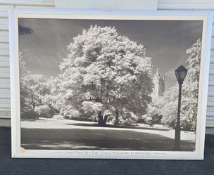 Framed art print titled  Central Park, New York.