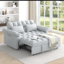 Loveseat Sofa Bed with Pull-Out Bed