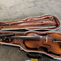 Viola