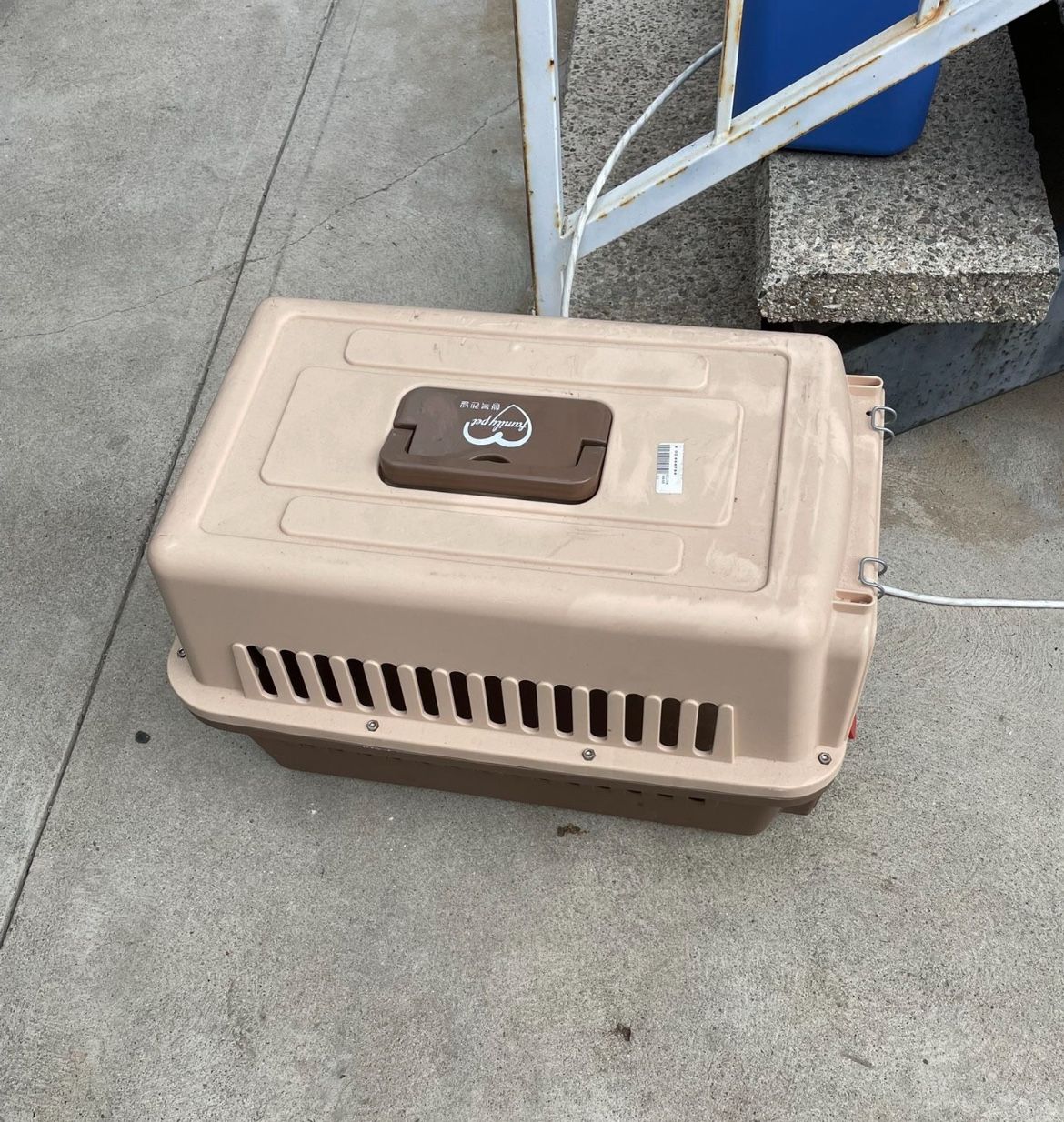 Sell 1pm- Dog Kettle