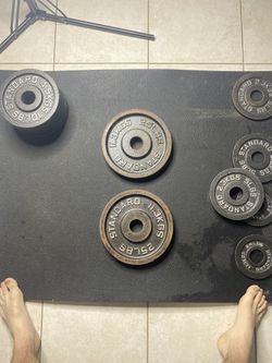 25 Pound Standard Weight Plate Pair